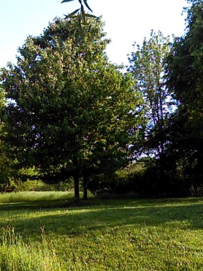 South Germantown Recreational Park - Boyds, MD