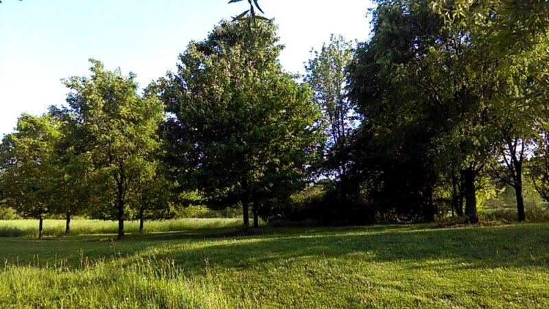 South Germantown Recreational Park - Boyds, MD