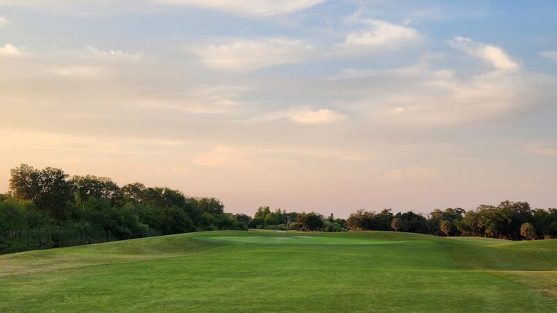 Bob Gardner Dog Park - Bradenton, FL