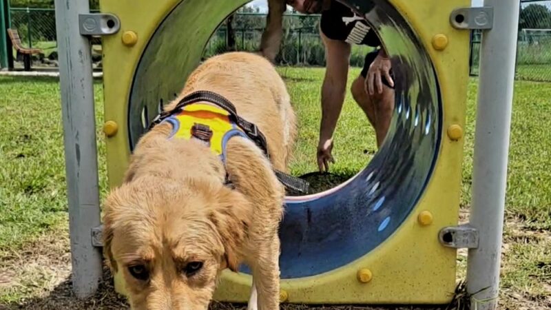 Greenbrook Adventure Dog Park (Members Only) - Bradenton, FL