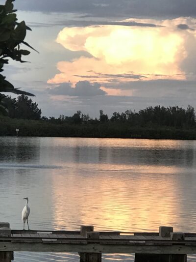 Palma Sola Causeway Park - Bradenton, FL