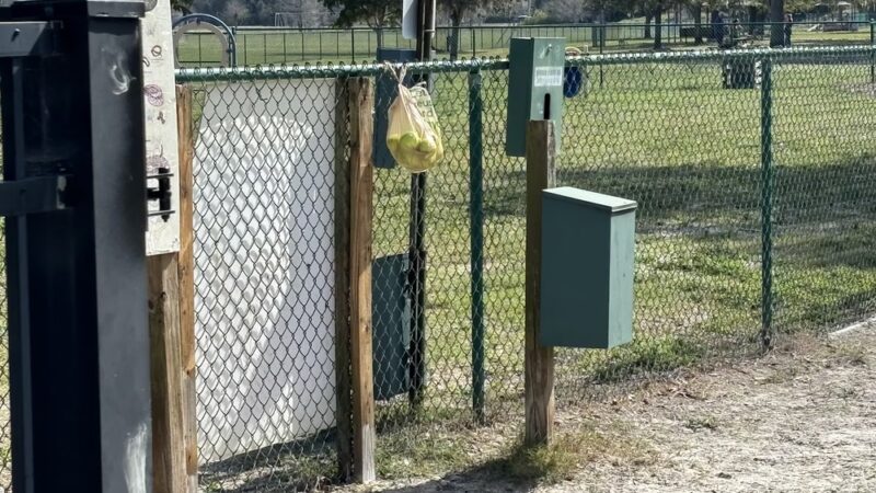 Paw Park- Bradenton - Bradenton, FL