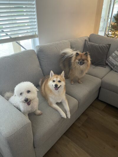 Pooch Adventures LLC - Bradenton, FL