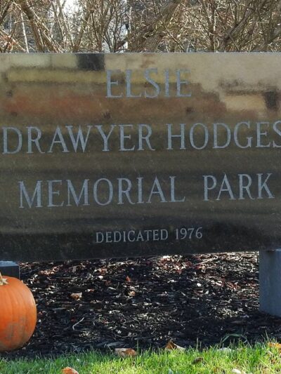 Hodges Park - Bradford, IL