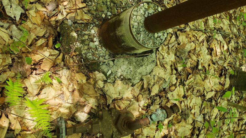 Allegheny National Forest (ANF) Southern Entry - Bradford, PA