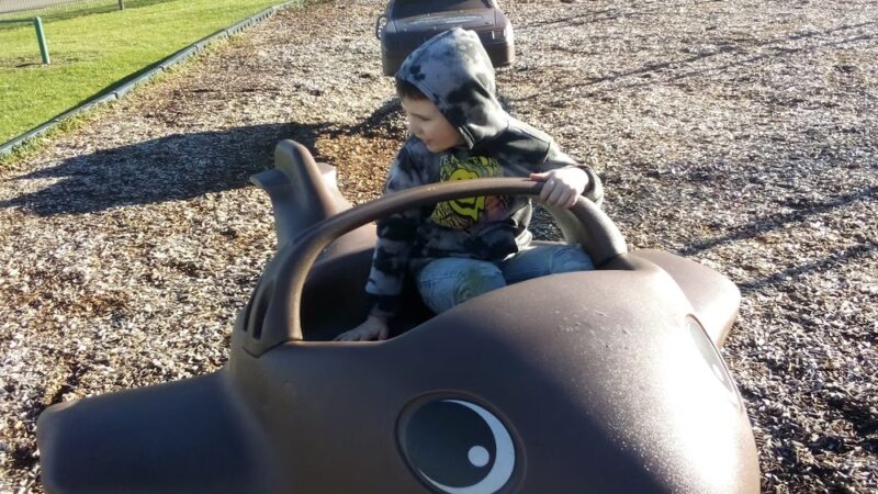 Jan Hamilton Park - Bradford, PA