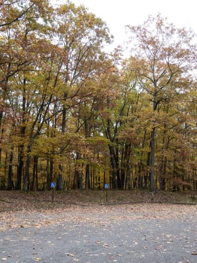 Rimrock Trailhead - Bradford, PA