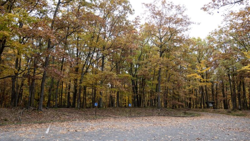 Rimrock Trailhead - Bradford, PA