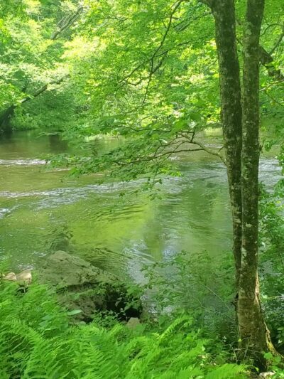 Grills Preserve - Bradford, RI