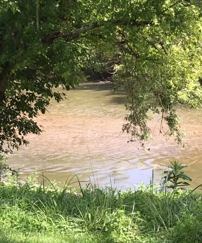 Branchland Park - Branchland, WV