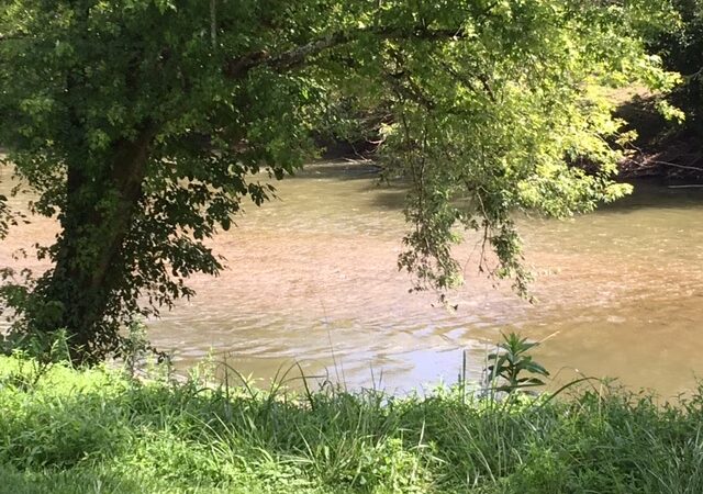 Branchland Park - Branchland, WV