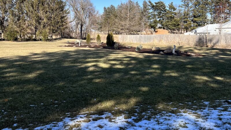 Brandon City Park - Brandon, IA