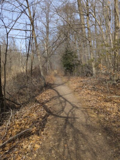 Youngs Pond Park - Branford, CT