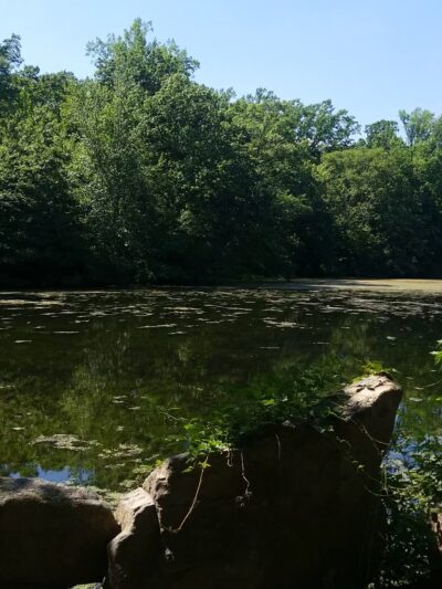 Youngs Pond Park - Branford, CT