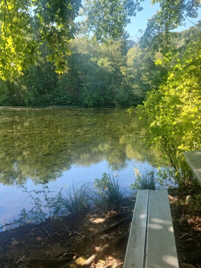 Youngs Pond Park - Branford, CT