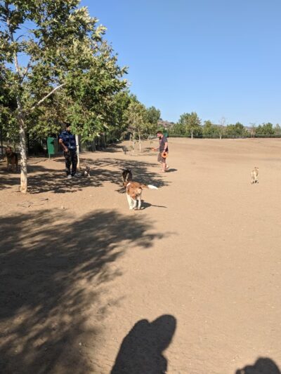 Wildcatters Dog Park - Brea, CA