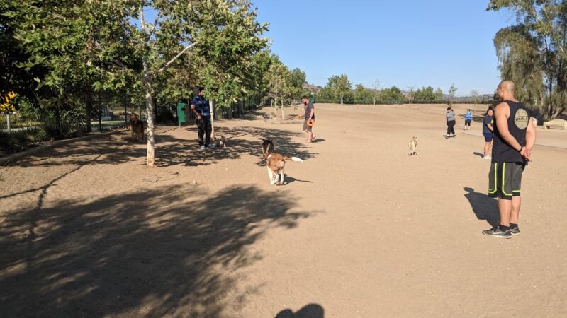 Wildcatters Dog Park - Brea, CA