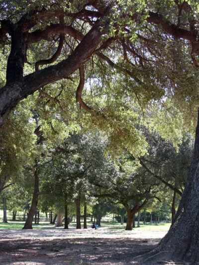 Hohlt Park - Brenham, TX