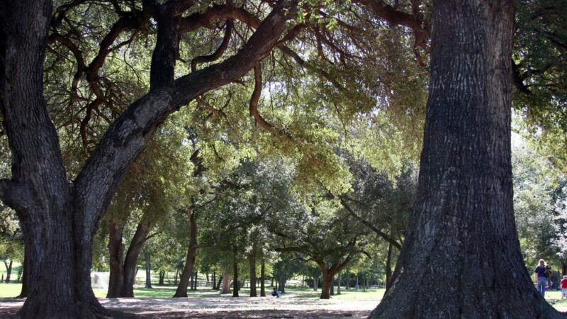 Hohlt Park - Brenham, TX