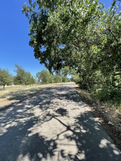 Marsh Creek Trail Head Parking Lot - Brentwood, CA