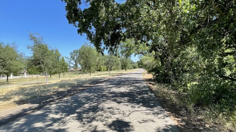 Marsh Creek Trail Head Parking Lot - Brentwood, CA