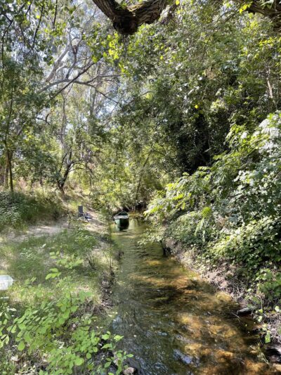 Marsh Creek Trail Head Parking Lot - Brentwood, CA