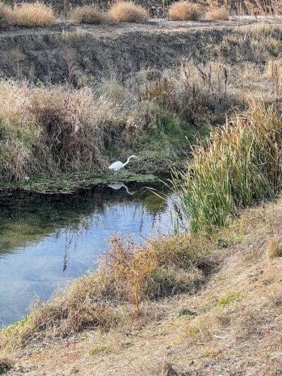 Marsh Creek Trail Head Parking Lot - Brentwood, CA