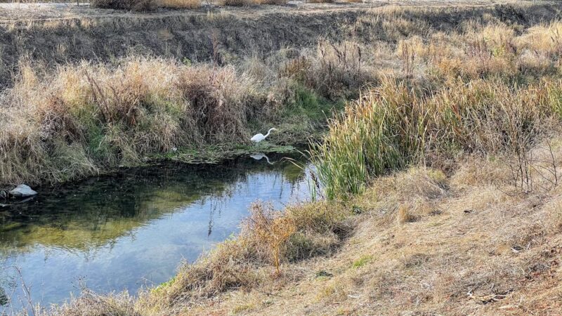 Marsh Creek Trail Head Parking Lot - Brentwood, CA