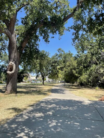Marsh Creek Trail Head Parking Lot - Brentwood, CA