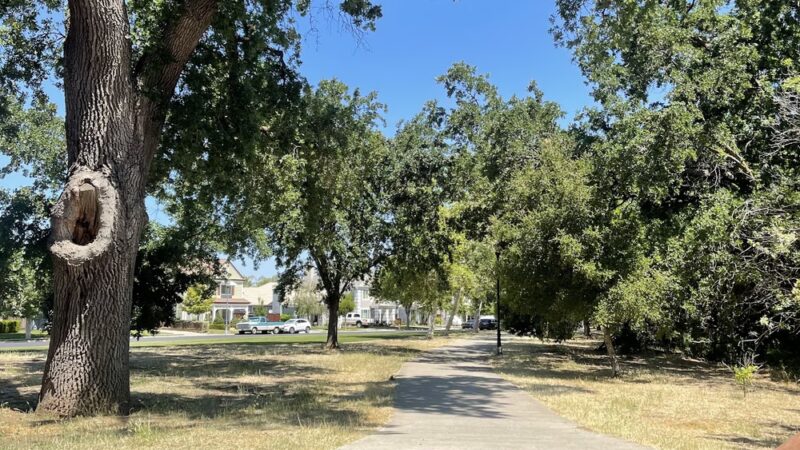 Marsh Creek Trail Head Parking Lot - Brentwood, CA