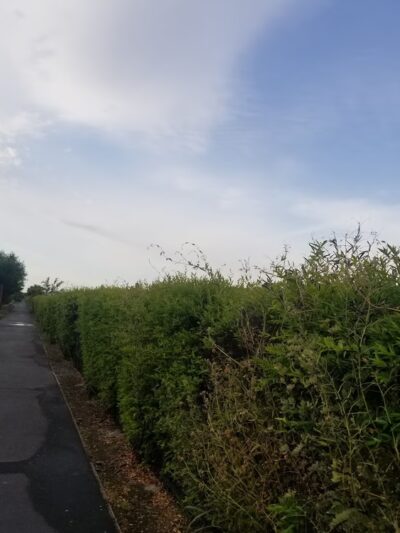 Caboose Park - Brentwood, CA