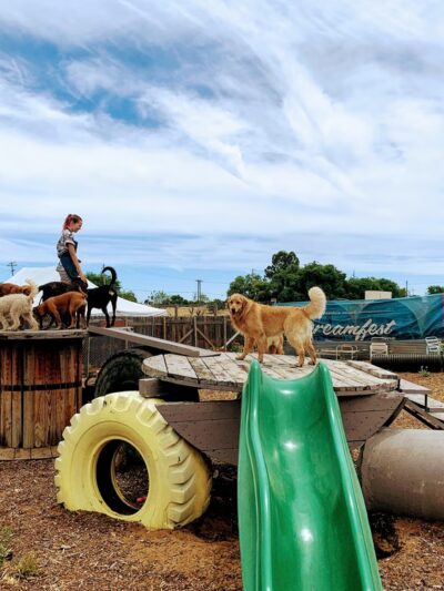 Derty Dog Canine Retreat & Fitness - Brentwood, CA