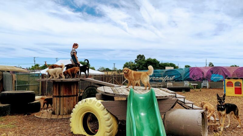 Derty Dog Canine Retreat & Fitness - Brentwood, CA