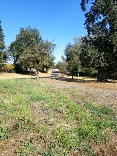 Marsh Creek Trail Bridge Crossing - Brentwood, CA