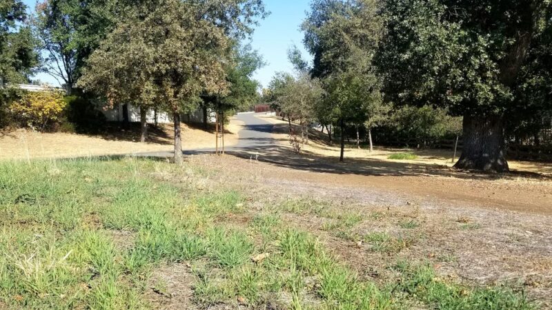 Marsh Creek Trail Bridge Crossing - Brentwood, CA