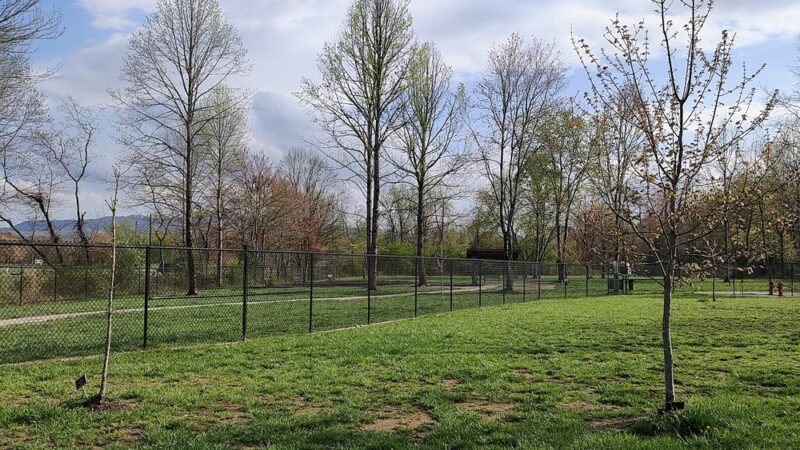 City of Brevard Dog Park - Brevard, NC