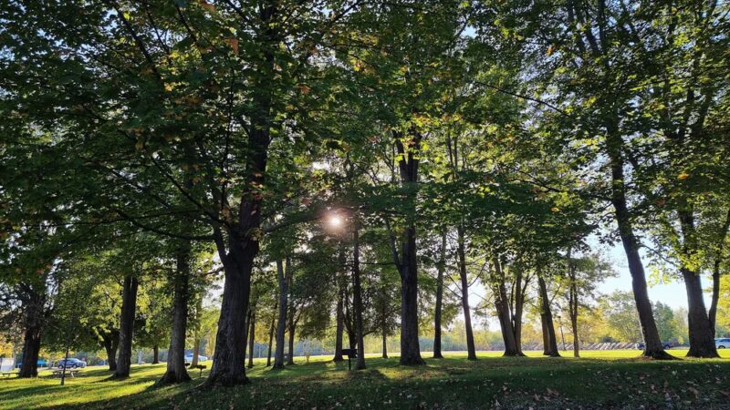 Oneida Shores - Brewerton, NY