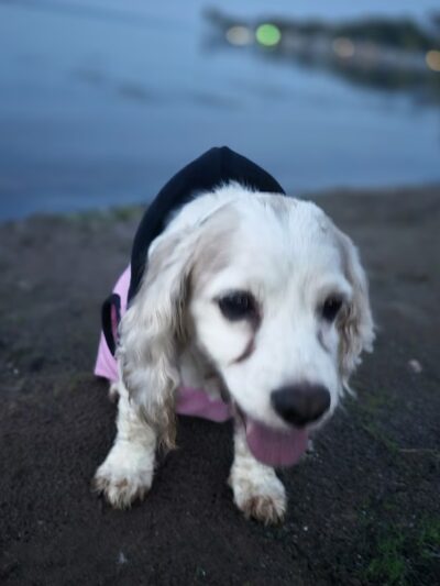 Oneida Shores - Brewerton, NY