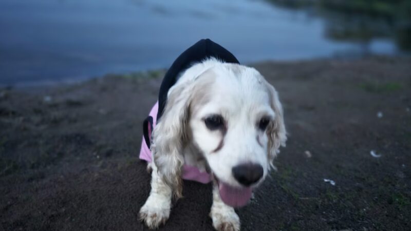 Oneida Shores - Brewerton, NY