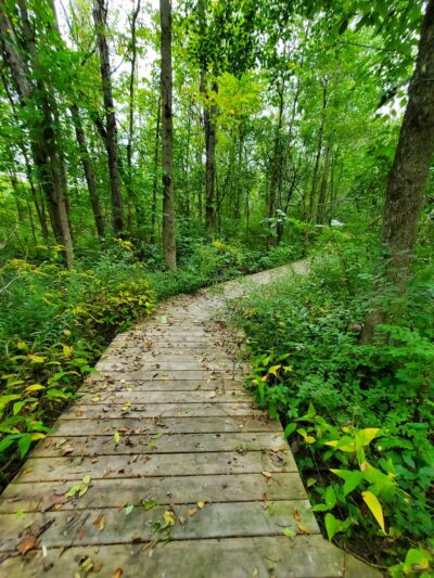 Plank Road Park - Brewerton, NY
