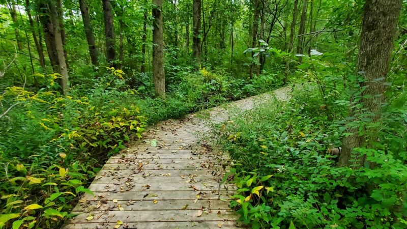 Plank Road Park - Brewerton, NY