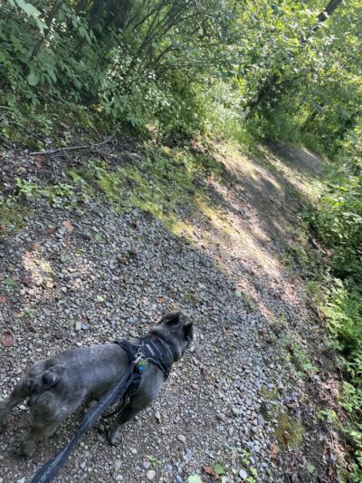 Riverwalk Nature Trail Central New Land Trust - Brewerton, NY