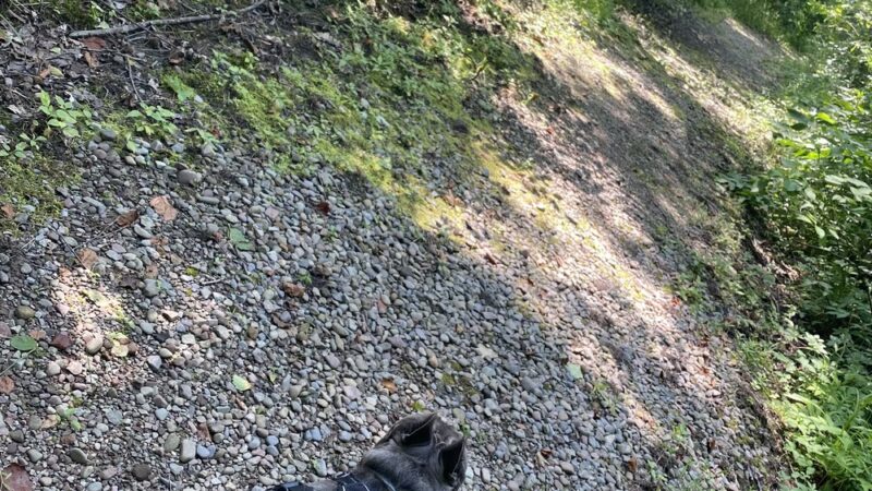 Riverwalk Nature Trail Central New Land Trust - Brewerton, NY