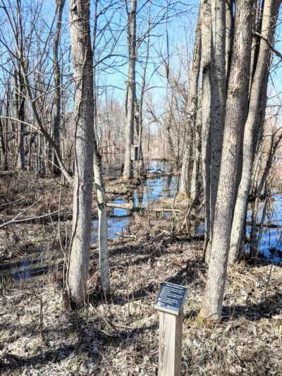 Riverwalk Nature Trail Central New Land Trust - Brewerton, NY