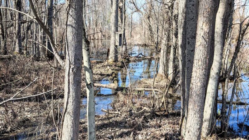 Riverwalk Nature Trail Central New Land Trust - Brewerton, NY