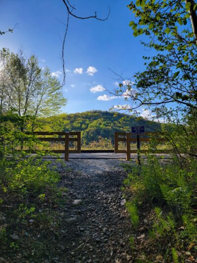 Clough Preserve - Brewster, NY