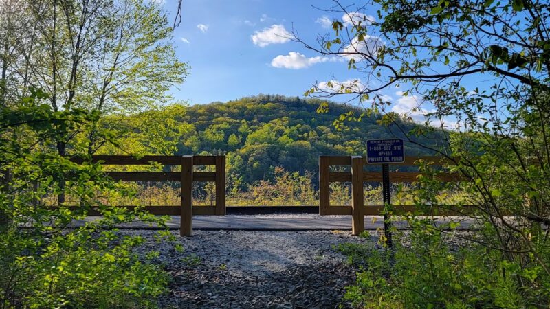 Clough Preserve - Brewster, NY