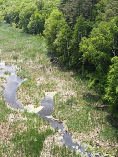 Clough Preserve - Brewster, NY
