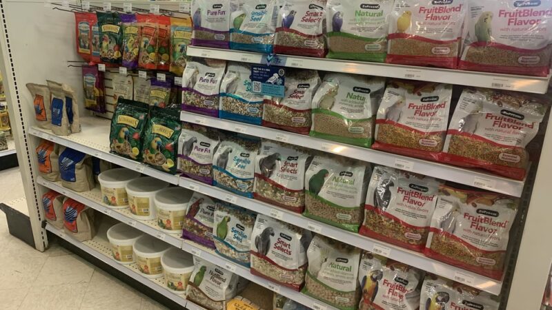 Pet Blvd - Brewster, NY