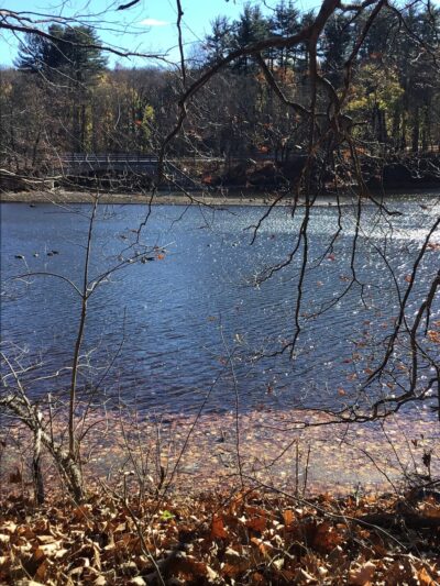 Southeast Veterans Park - Brewster, NY